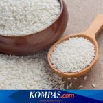 Ini Dia Ragam Jenis Ikan yang Aman Dikonsumsi Ibu Hamil